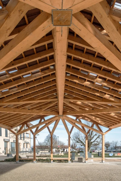 Charpentier bois Caluire-et-Cuire